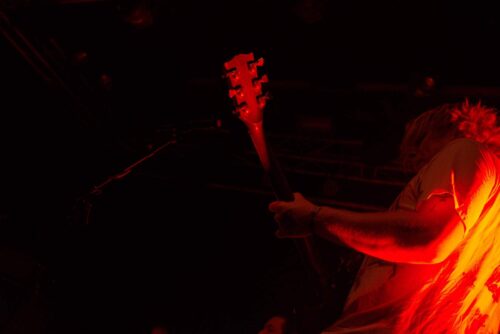 Ty Segall