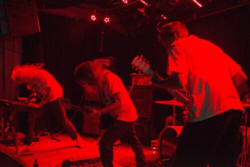 Gift, Park+Riot, No Shelter, R.O.S.A. + BLCKWVS